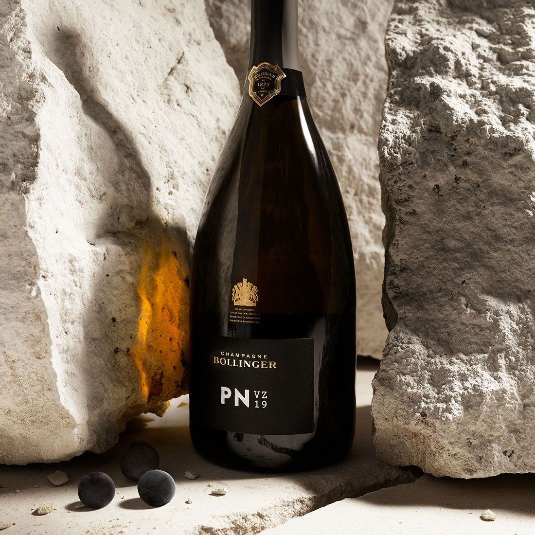 Bollinger PN VZ19 シャンパン 750ml PN VZ19 - Delicate and complex | Champagne Bollinger
